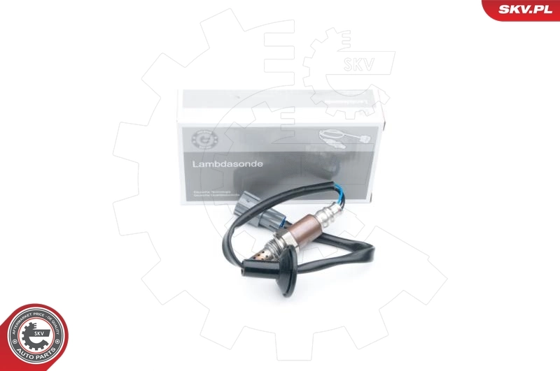 Oxygen Sensor
